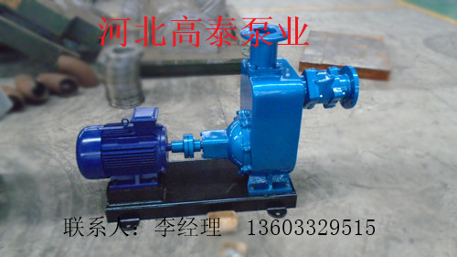 ZW自吸泵32ZW9-30