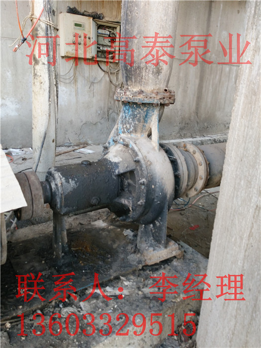 河北紙漿泵100LXL-Z-35造紙廠專用紙漿泵