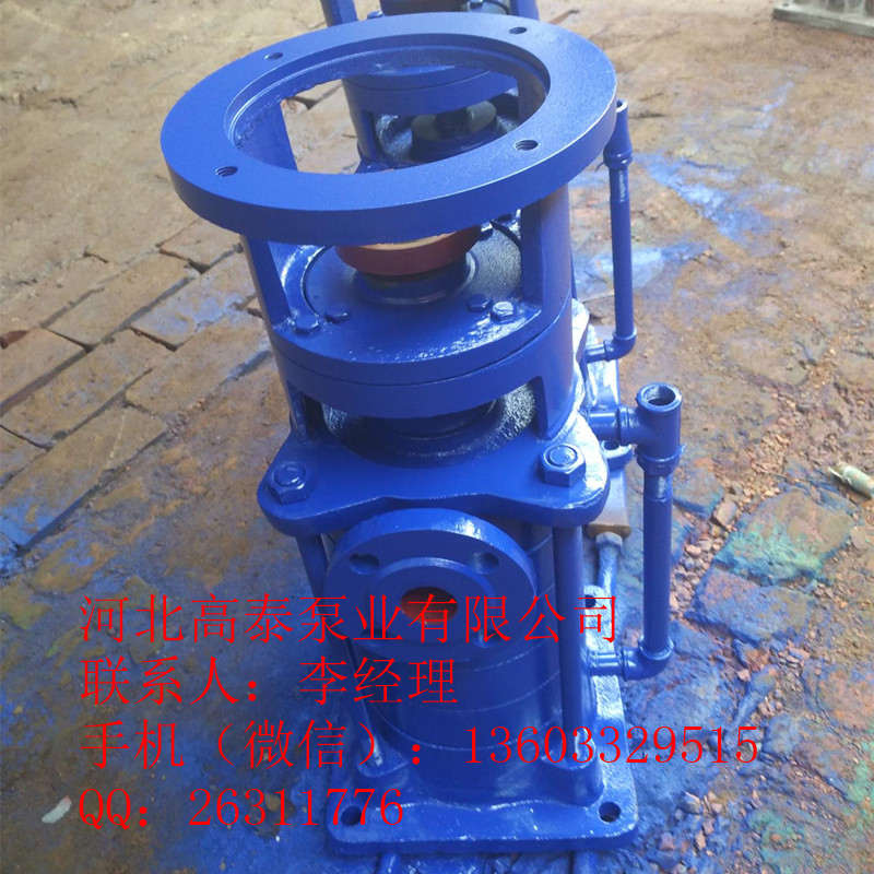 65LG36-20*2立式多級(jí)泵 河北多級(jí)泵廠家